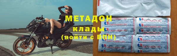 прущие грибы Аркадак