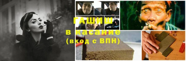 прущие грибы Аркадак
