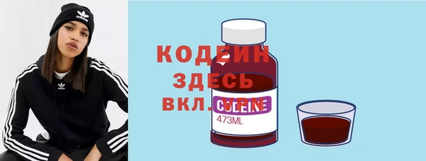 прущие грибы Аркадак