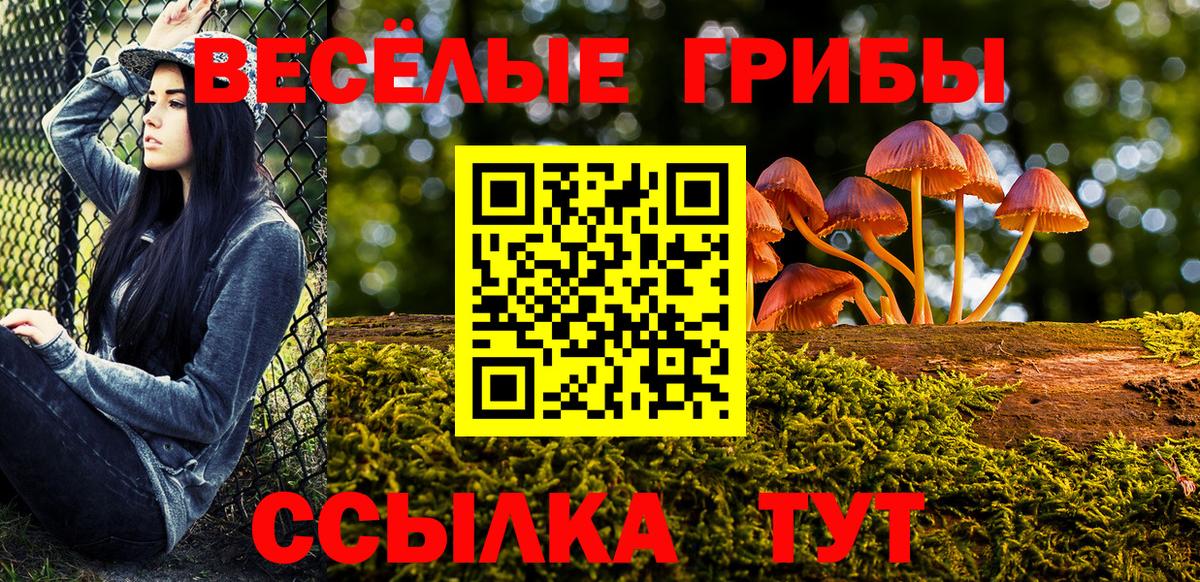Галлюциногенные грибы прущие грибы Мытищи