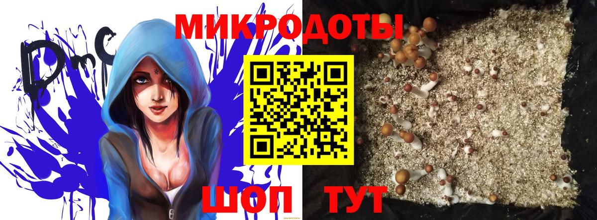 Галлюциногенные грибы MAGIC MUSHROOMS  Галлюциногенные грибы прущие грибы  Мытищи  Вход с VPN 