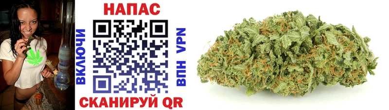 продажа наркотиков  Мытищи  Канабис OG Kush 